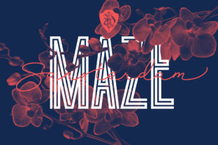 Sansterdam Maze: A Bold Display Font for Marketers