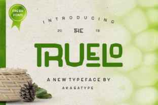 Truelo: A Modern Display Font for Branding